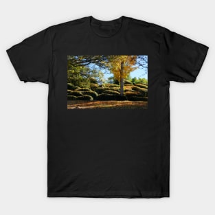 Autumn Sunshine T-Shirt